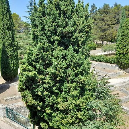 Апартаменти Grande Terrasse Et Vue Sur Le Site Antique Везон-ла-Ромен Екстер'єр фото